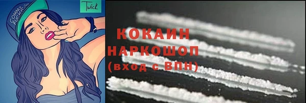 прущие грибы Ивантеевка