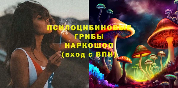 MDMA Няндома