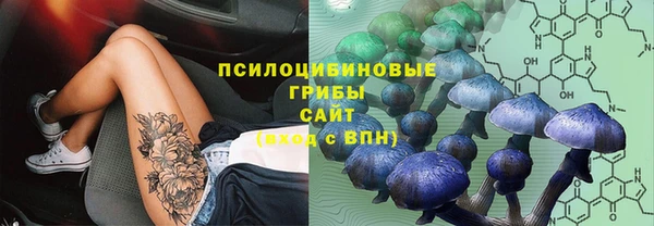 прущие крисы Зуевка
