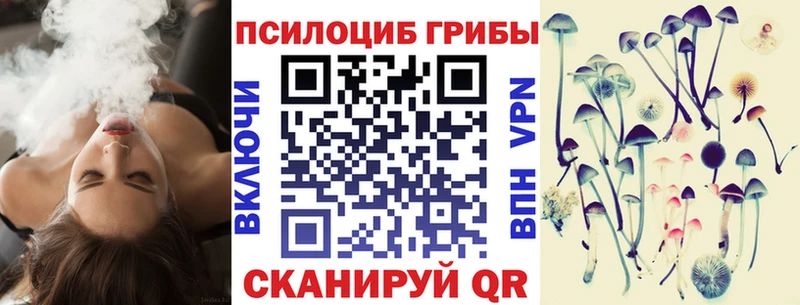 Псилоцибиновые грибы Psilocybine cubensis  Карталы 