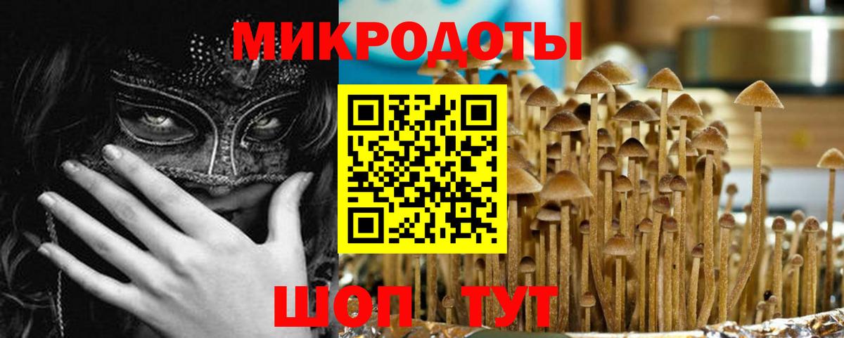 купить   Галлюциногенные грибы MAGIC MUSHROOMS  Вход с VPN  Карталы 