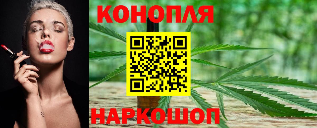 Бошки Шишки SATIVA & INDICA  Каннабис план  Вход с VPN  Карталы 
