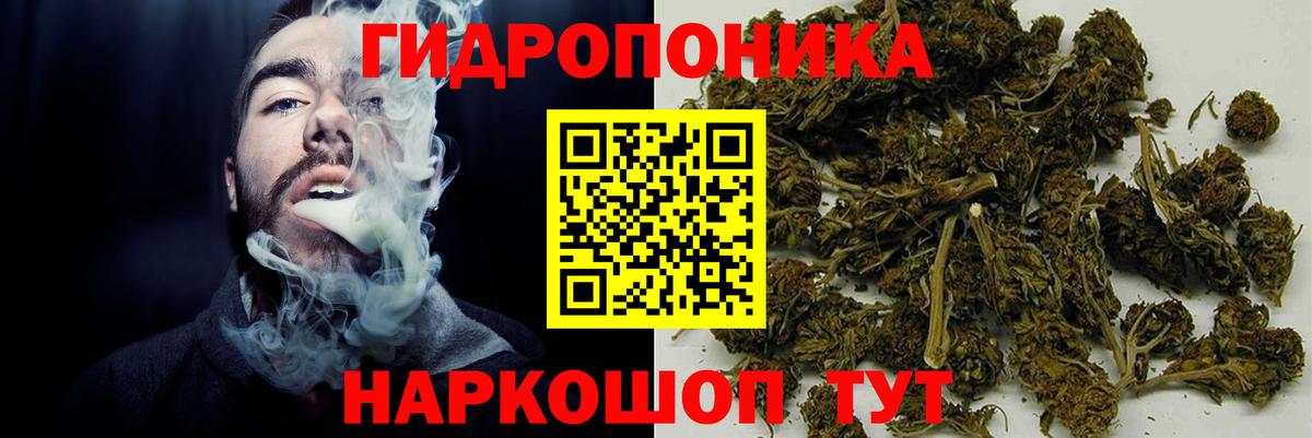Шишки марихуана семена Карталы
